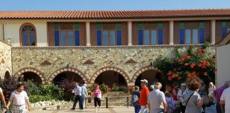 Μονοήμερη εκδρομή στη Δυτική Αττική (Φωτογραφίες)